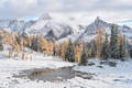 THE FIRST SNOW