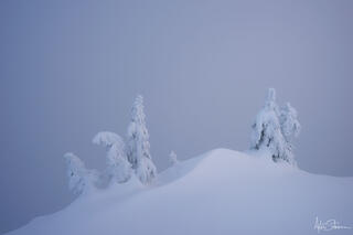Winter Ghosts 3