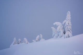 Winter Ghosts 2