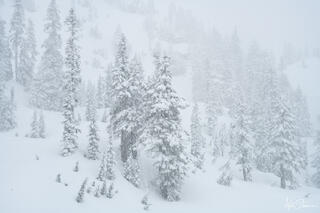 Snowy weather in the mountains.