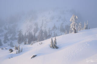 Mt. Seymour winter scenery.