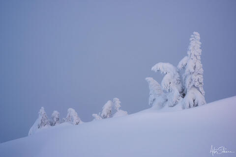 Winter Ghosts 2