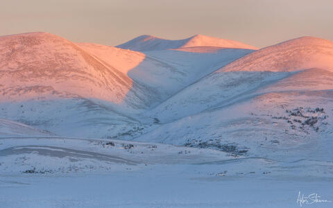 Beautiful morning light at Artic Circle in Yukon.
