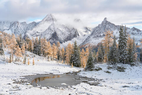 THE FIRST SNOW