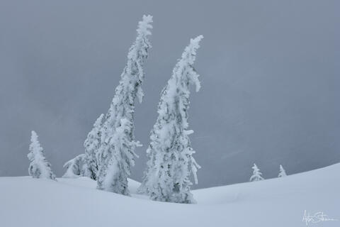 Storm Watchers 2