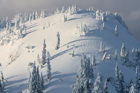 Snow Moulded