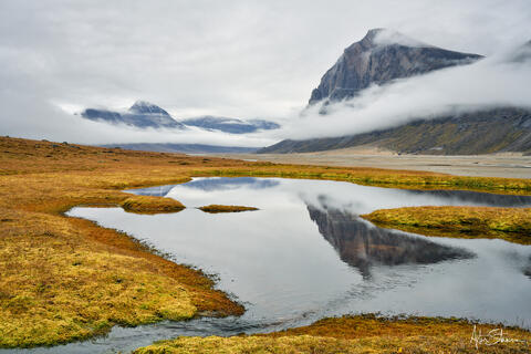 Foggy day in the wilderness of Baffin Island.