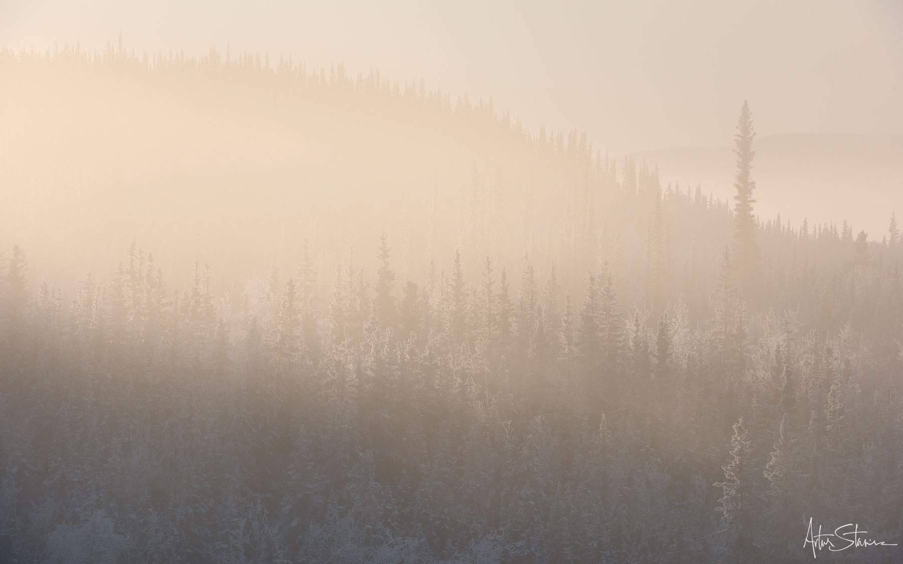 Foggy morning in cold Yukon.