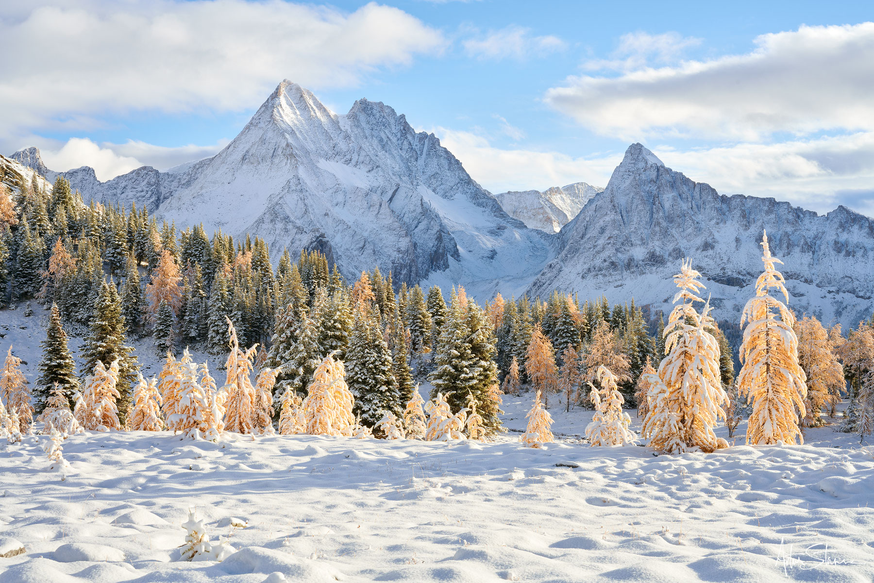 Bright and wonderful winter scenery