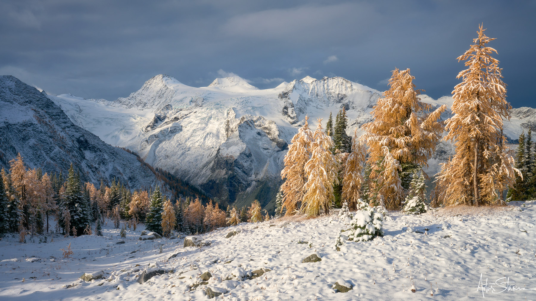 Alpine Larch trees change colors every year before they loose needles. This spectacular transformation is what I captured here...